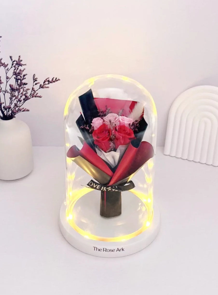 Red and Pink Preserved Rose Mini Bouquet in Glass Dome with LED Lights - The Rose Ark