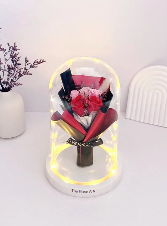 Red and Pink Preserved Rose Mini Bouquet in Glass Dome with LED Lights - The Rose Ark