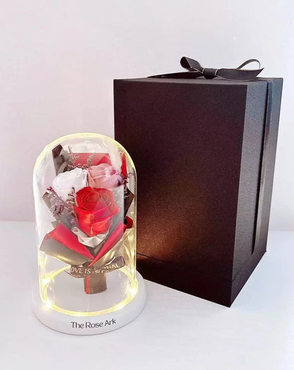 Red Preserved Rose Mini Bouquet in Glass Dome with Black Box - The Rose Ark