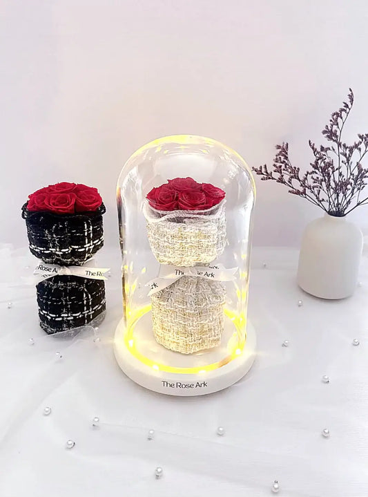 MINI ETERNAL ROSE DOME (White)