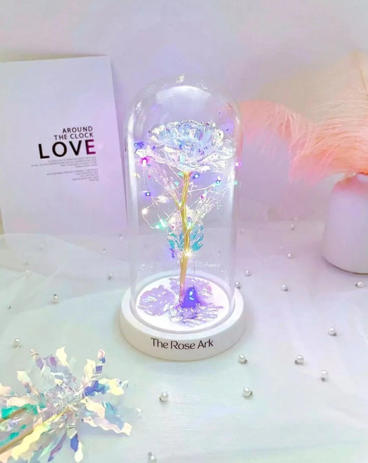 Galaxy Rose Dome with Fairy Lights - The Rose Ark